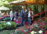 Mostra-mercato Vanzo Floreale 2010